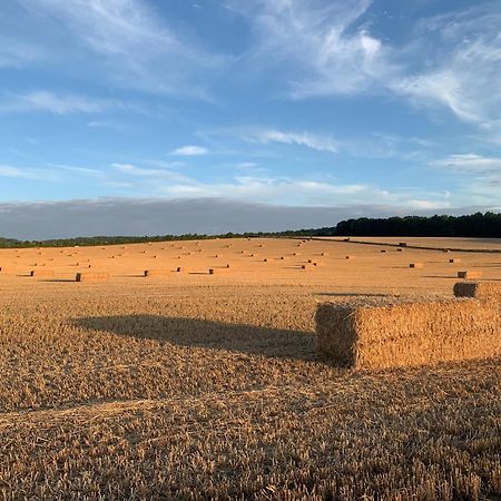 Vila The Little Orchard Watlington  Exteriér fotografie