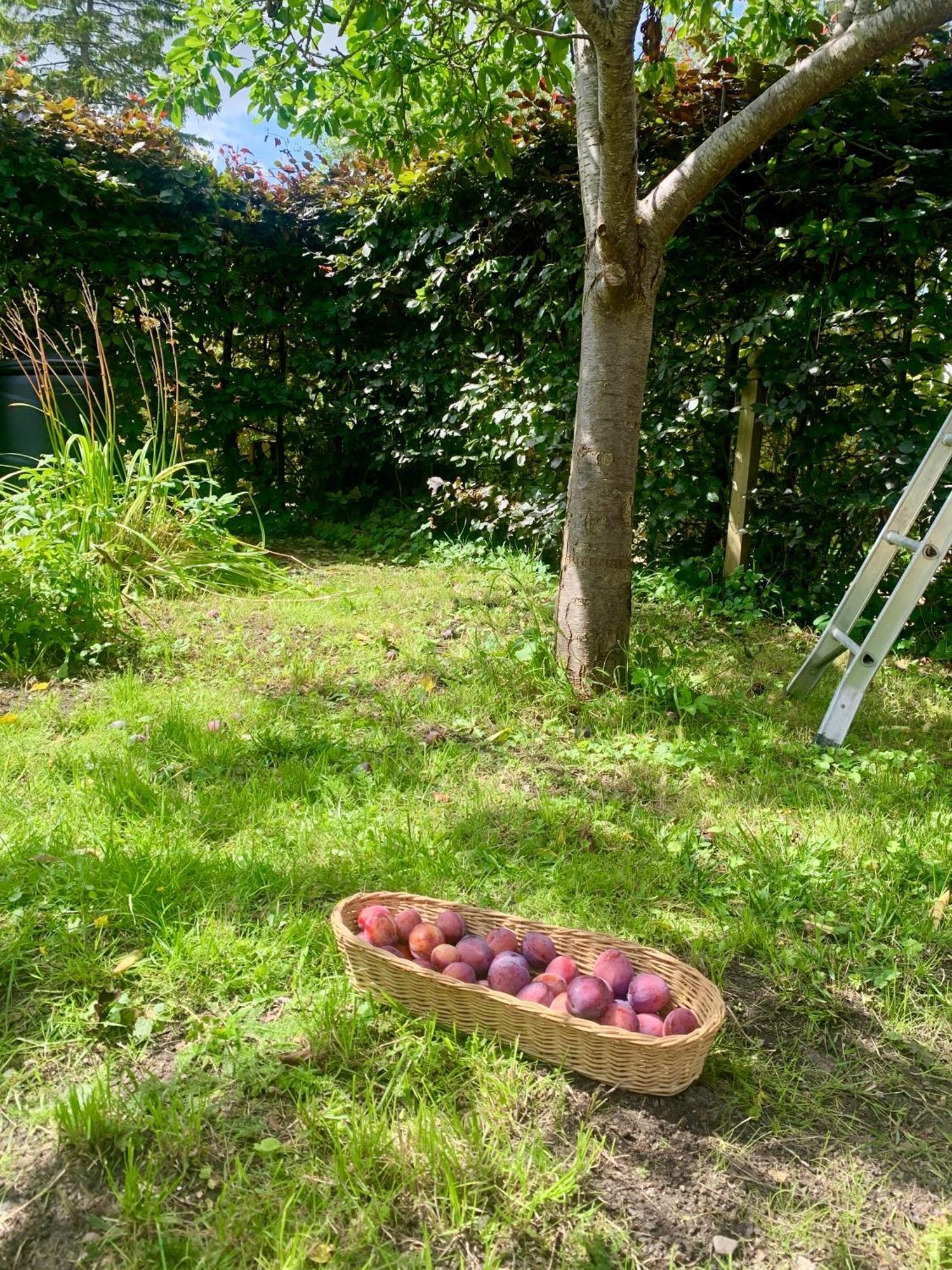 Vila The Little Orchard Watlington  Exteriér fotografie