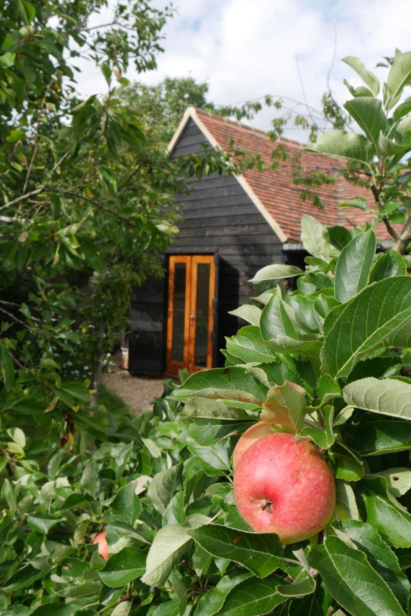 Vila The Little Orchard Watlington  Exteriér fotografie
